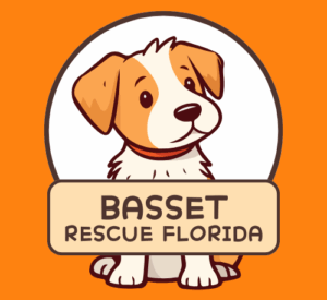 basset